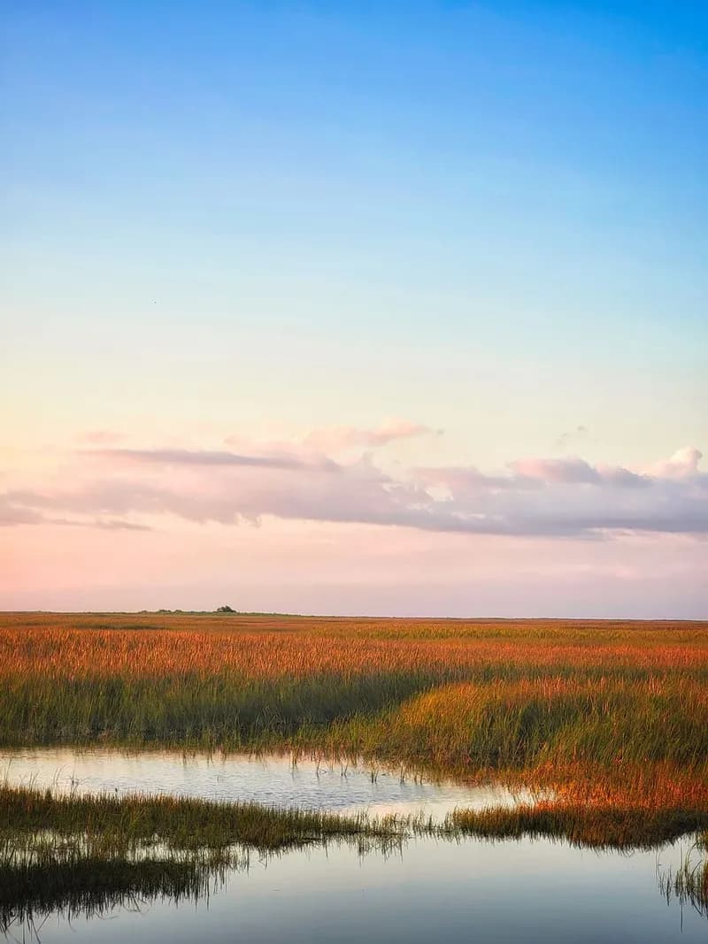 Fort Myers