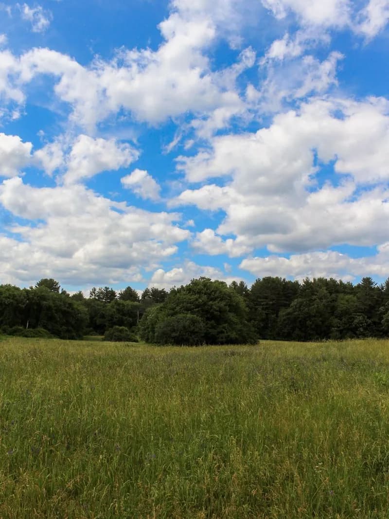 West Bridgewater
